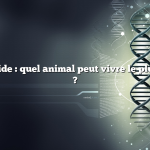 Réponse rapide : quel animal peut vivre le plus longtemps ?